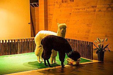 《GTA6》故事情节泄露 露西亚会在剧情中期背叛杰森